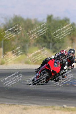 media/Nov-11-2023-SoCal Trackdays (Sat) [[efd63766ff]]/Turn 2 Set 2 (1145am)/